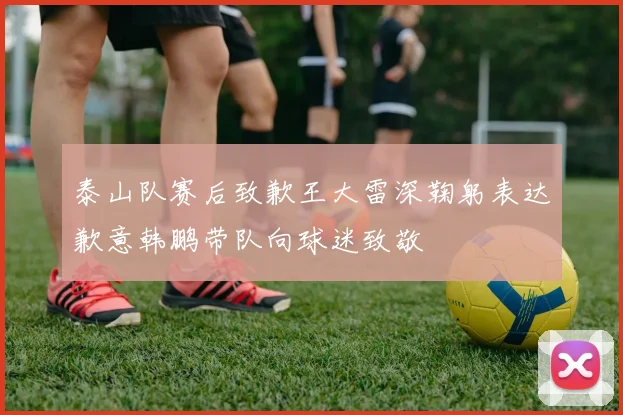 泰山队赛后致歉王大雷深鞠躬表达歉意韩鹏带队向球迷致敬