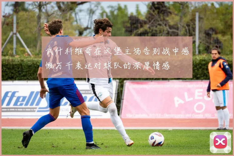 武什科维奇在汉堡主场告别战中感慨万千表达对球队的深厚情感